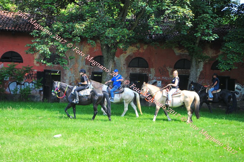 DSC_0936.JPG